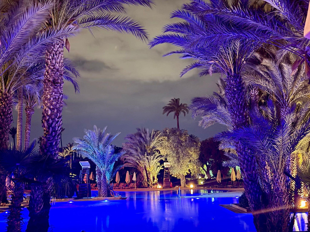 Club Med Marrakech la Palmeraie主图
