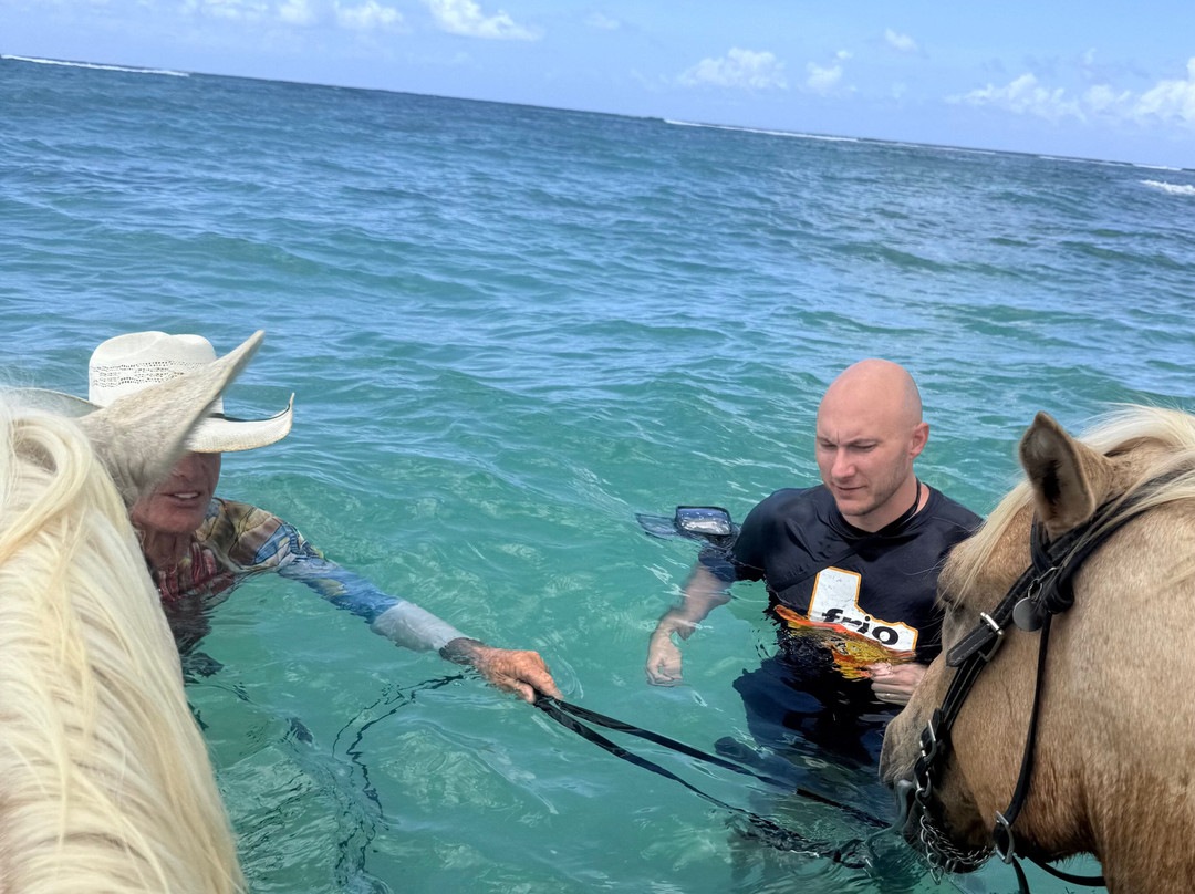 Equus Rides Horseback Riding St. Croix-Frederiksted必去景点