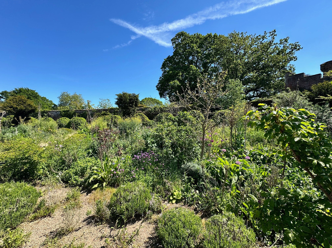 Knepp Wildland Safaris-霍舍姆必去景点