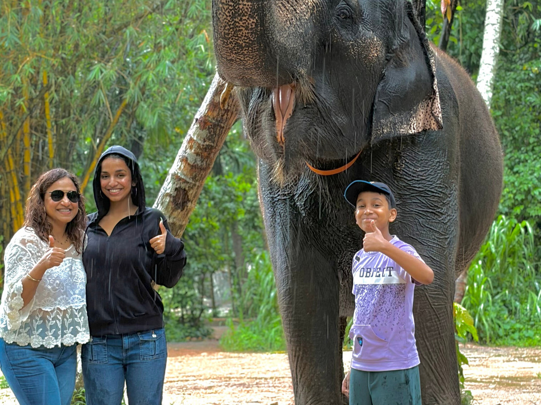 Sri Lanka Signature Tours-Madampe必去景点