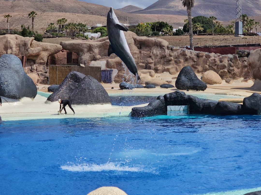 Rancho Texas Lanzarote Park-卡门港必去景点
