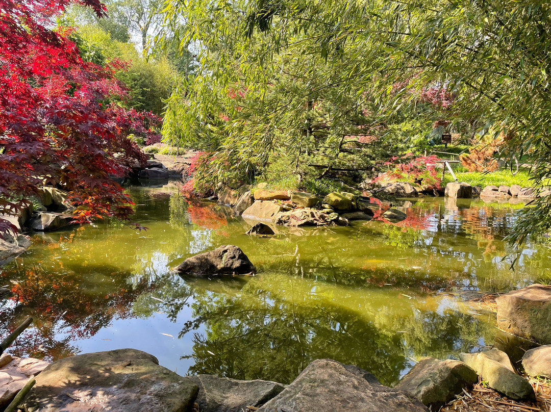 Creation Museum-Petersburg必去景点