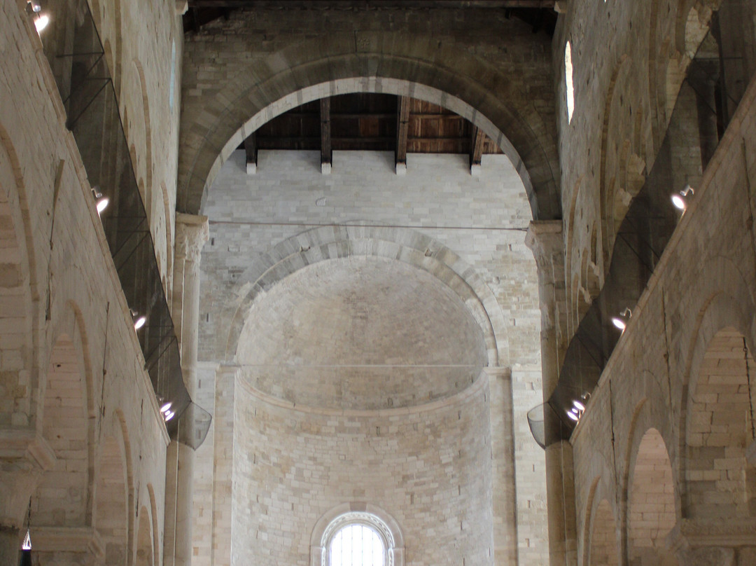 Cattedrale di Trani-特拉尼必去景点