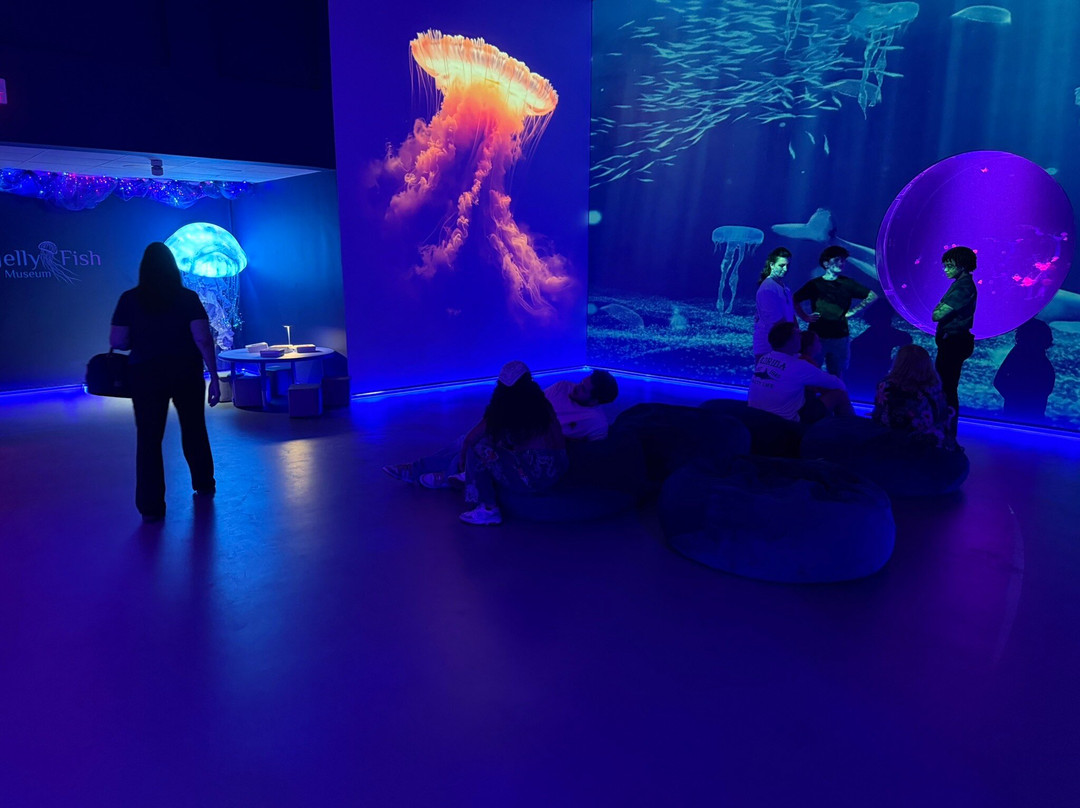 Jellies Museum Pompano Beach, FL-庞帕诺比奇必去景点