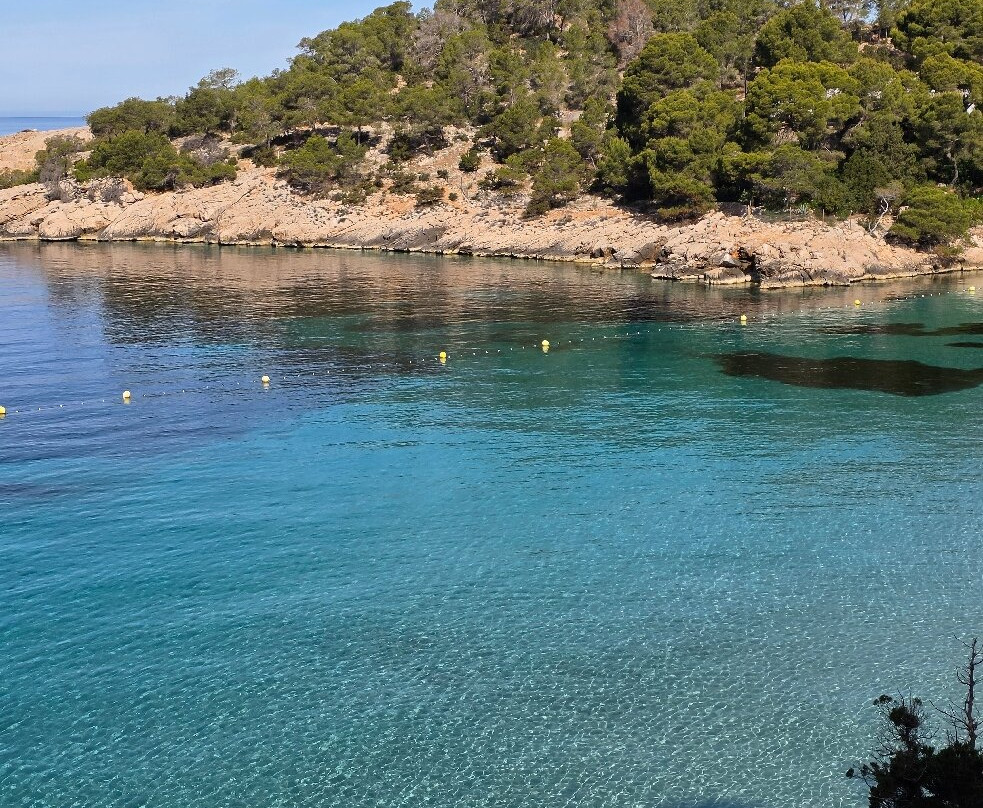 Cala Saladeta-圣安东尼德波特曼尼必去景点