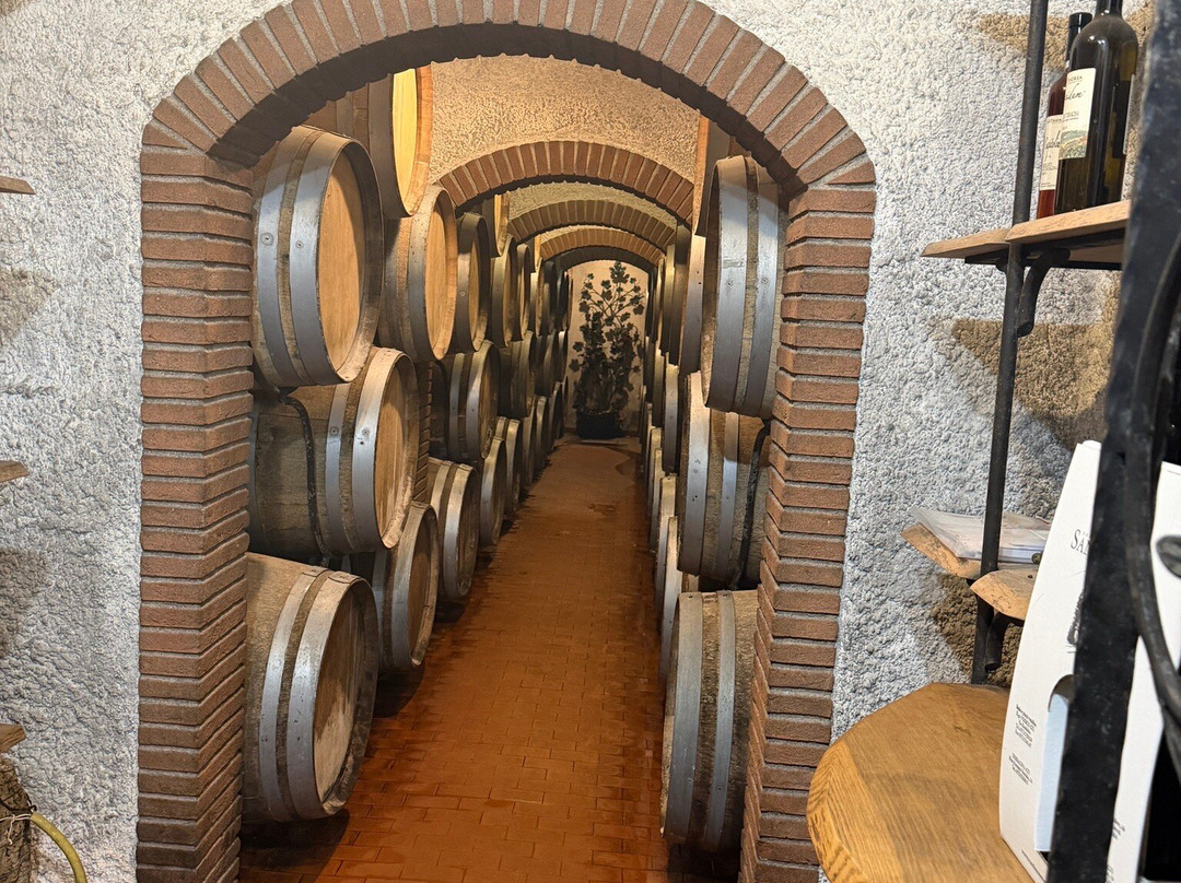 Cantina Sant'Andrea Azienda Agricola-特拉西那必去景点