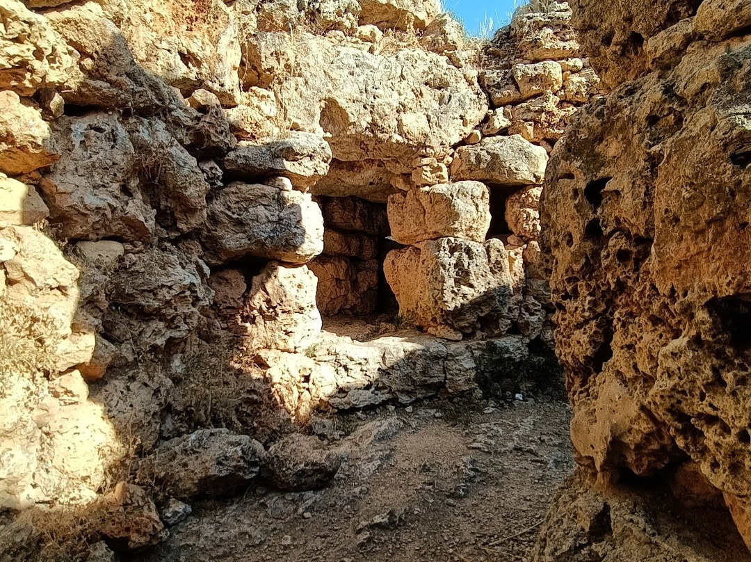 Talaiot De "son Fret" Sencelles Mallorca-Sencelles必去景点