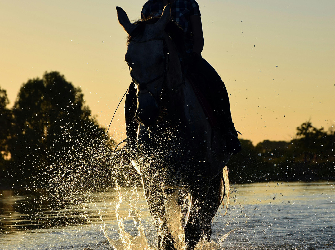 Belek Safari | Horse Riding Tour-Kumkoy必去景点