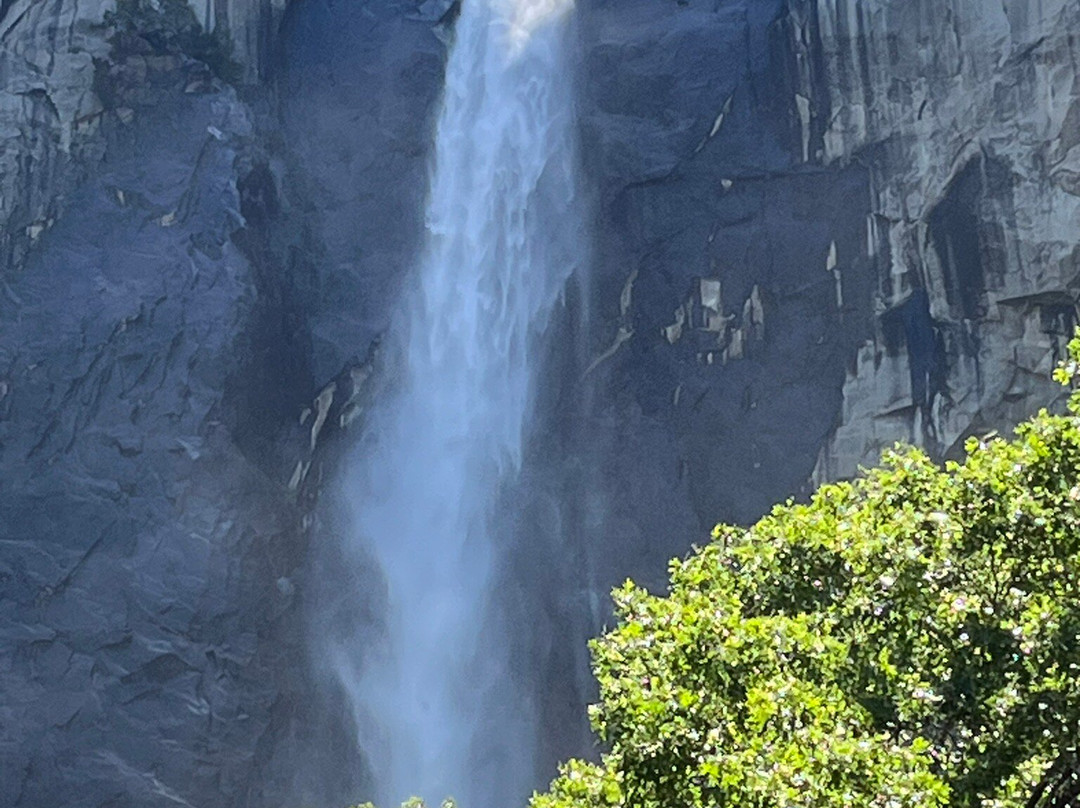 Yosemite 360 Tours-菲什营必去景点
