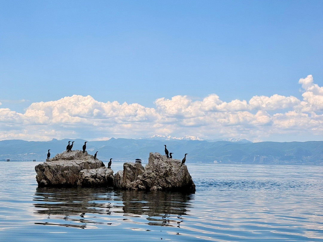 B & F Cruise - Ohrid-奥赫里德必去景点