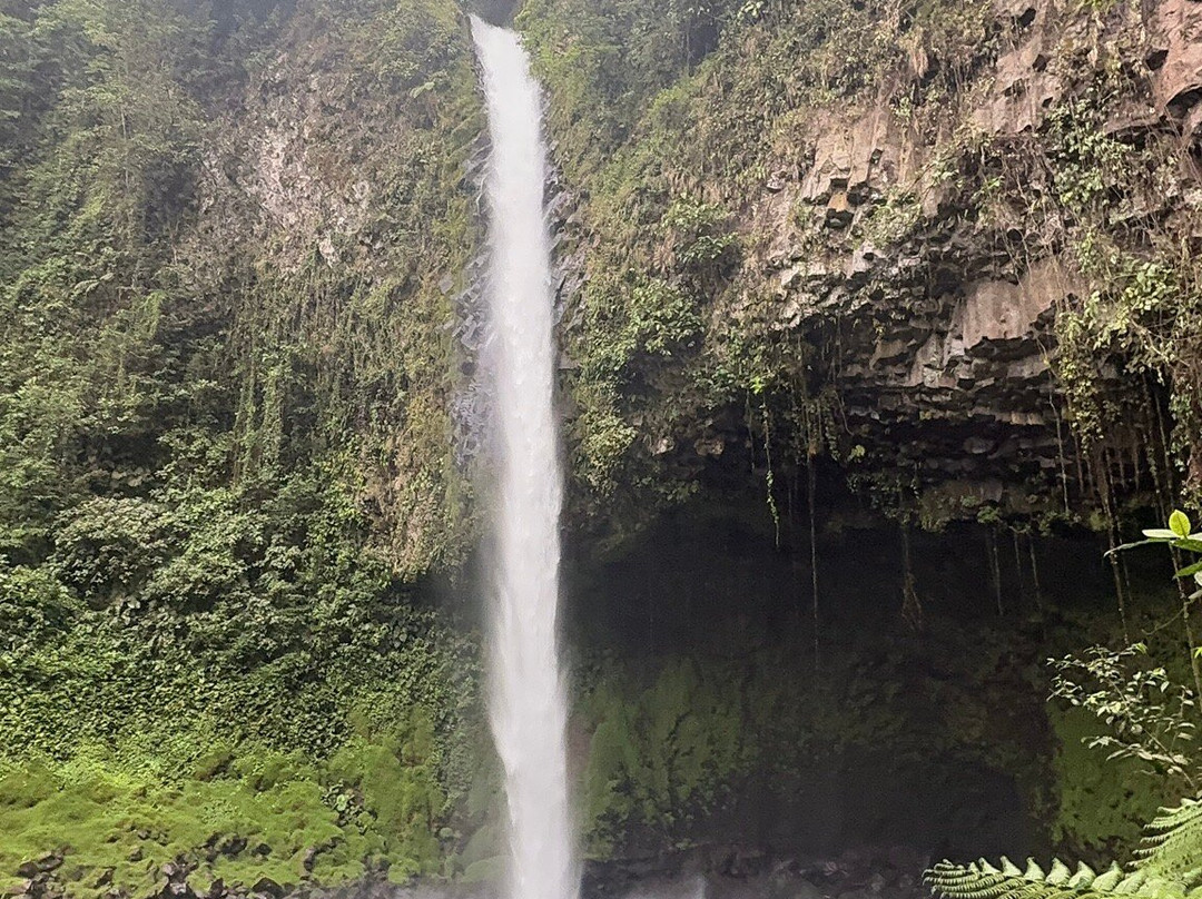 Costa Rica Driver - Tours-圣何塞必去景点