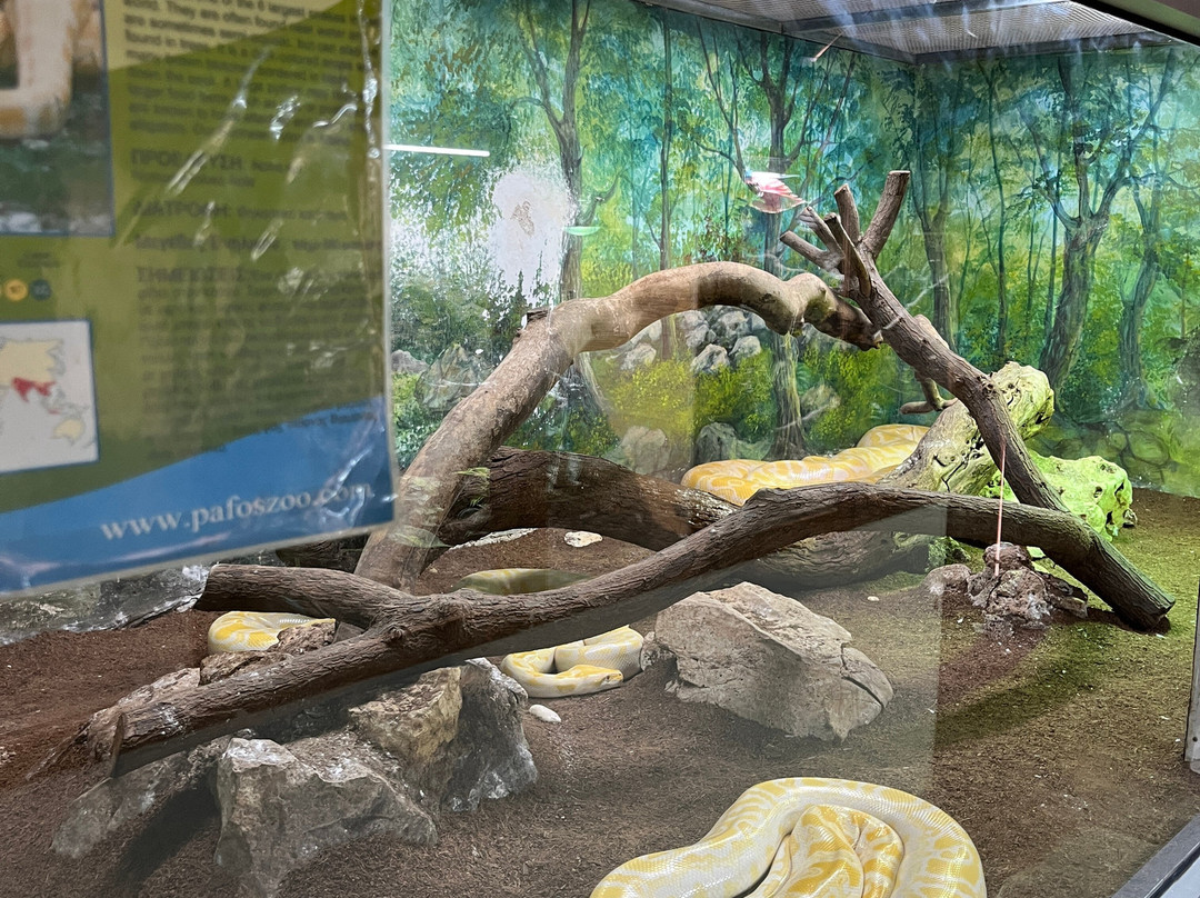 Pafos Zoo-帕福斯必去景点