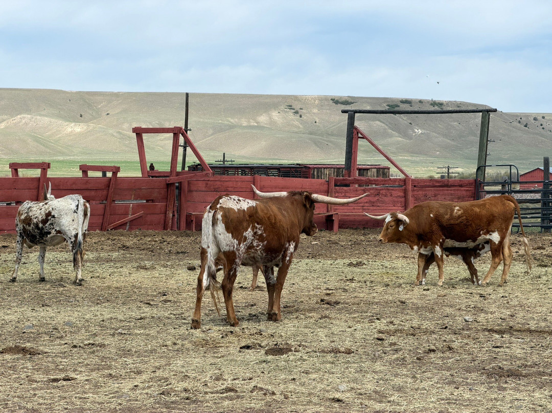 Grant-Kohrs Ranch - National Historic Site-Deer Lodge必去景点