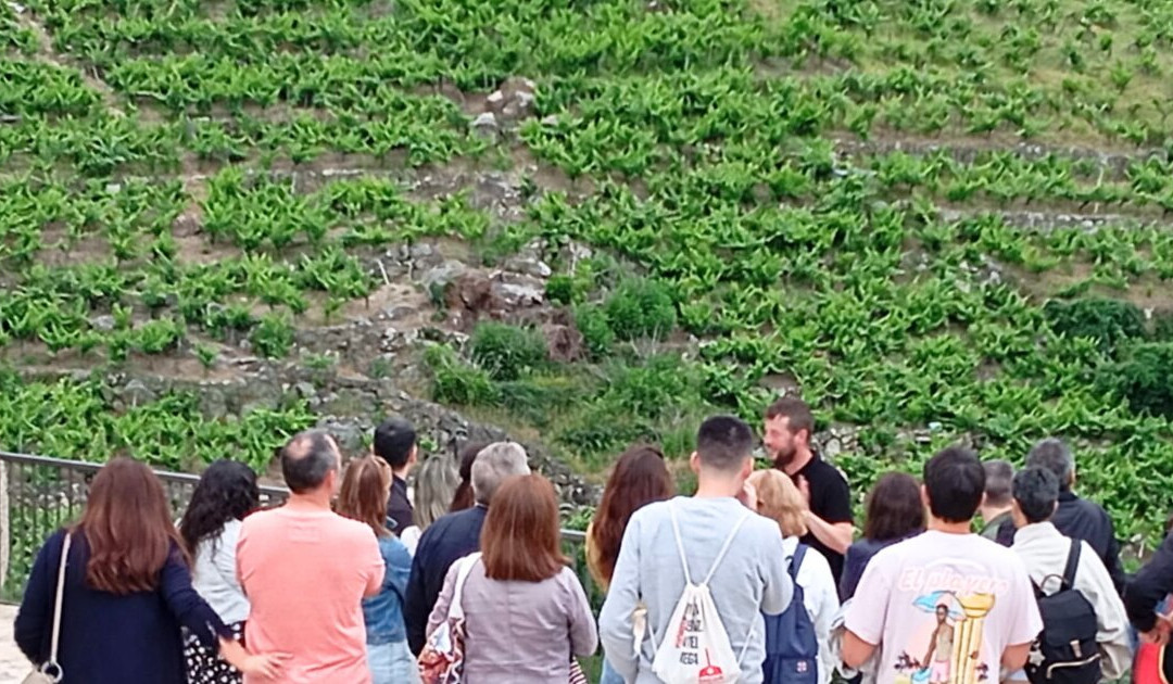 Via Romana Adegas e Vinedos-Chantada必去景点