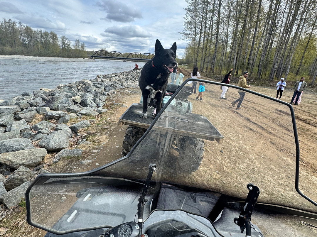 Alaska Wilderness Adventure - Talkeetna Atv Tours-塔尔基特纳必去景点