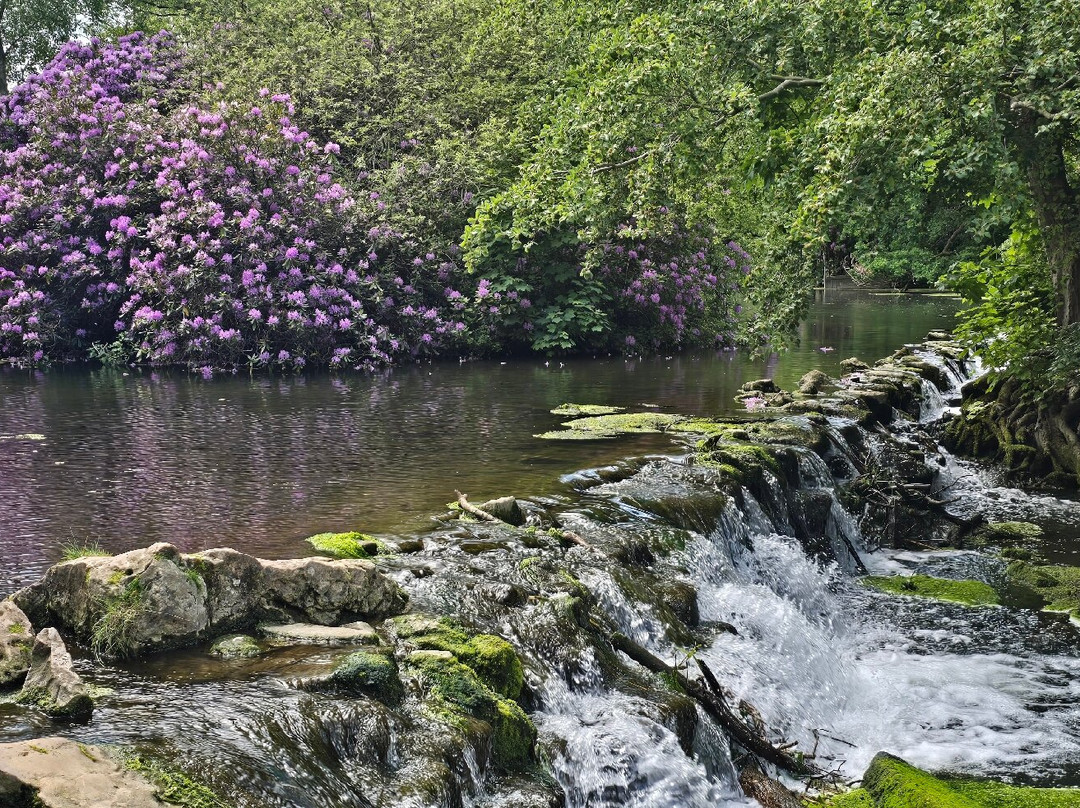 Clumber Park-沃克索普必去景点