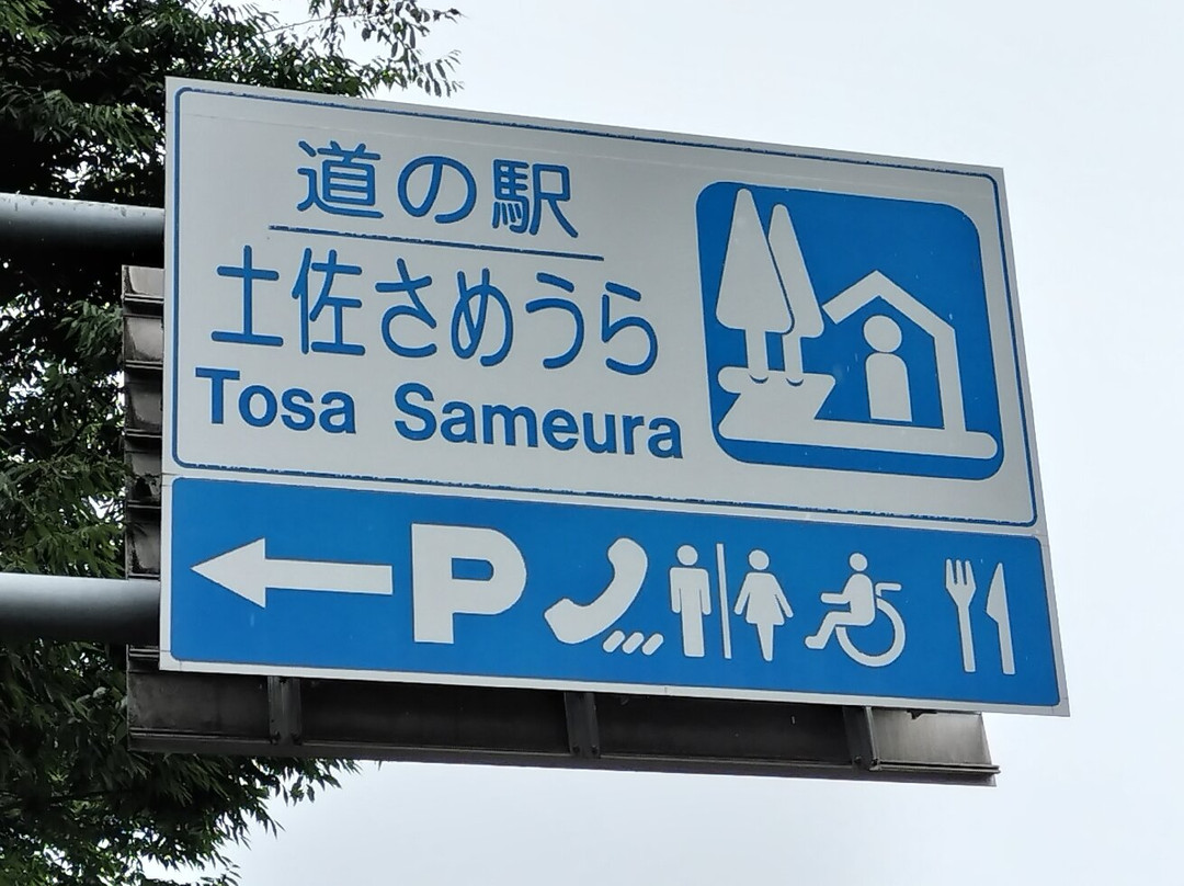 Tosa Sameura Michi-no-Eki-土佐町必去景点