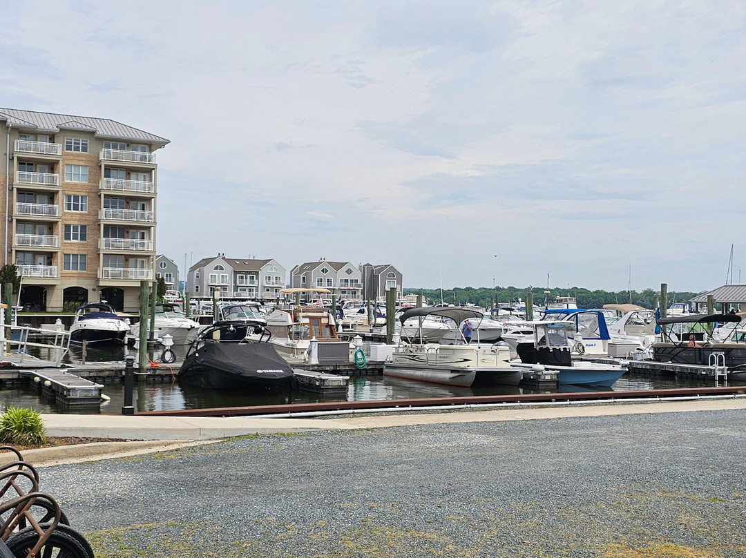 Penns Beach Marina at Heron Harbor-Havre de Grace必去景点