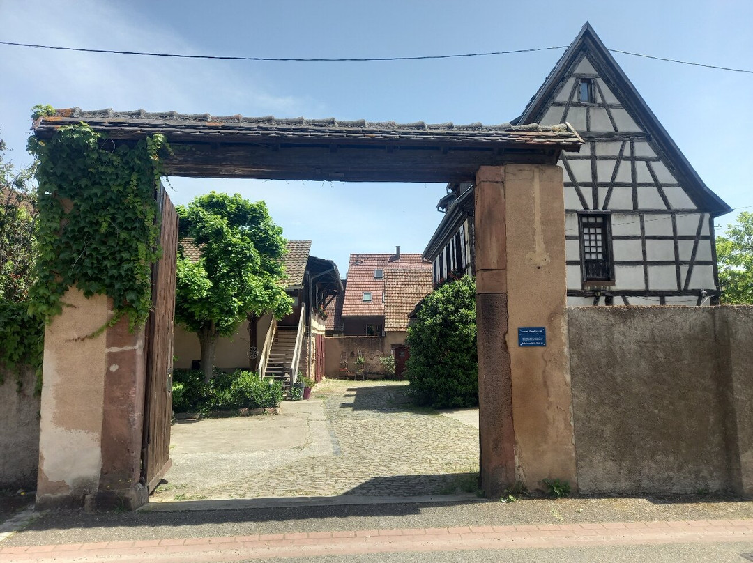 La Cour Zaepffel