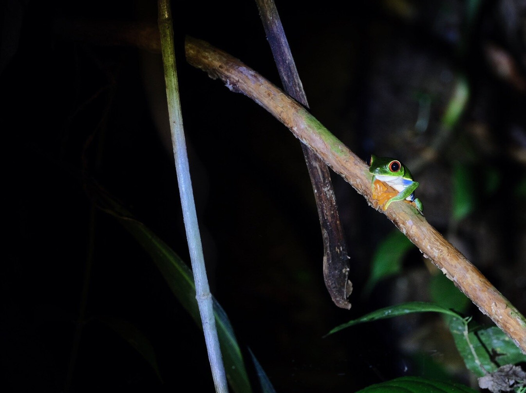 Rio Celeste By Chris Tours-San Rafael de Guatuso必去景点