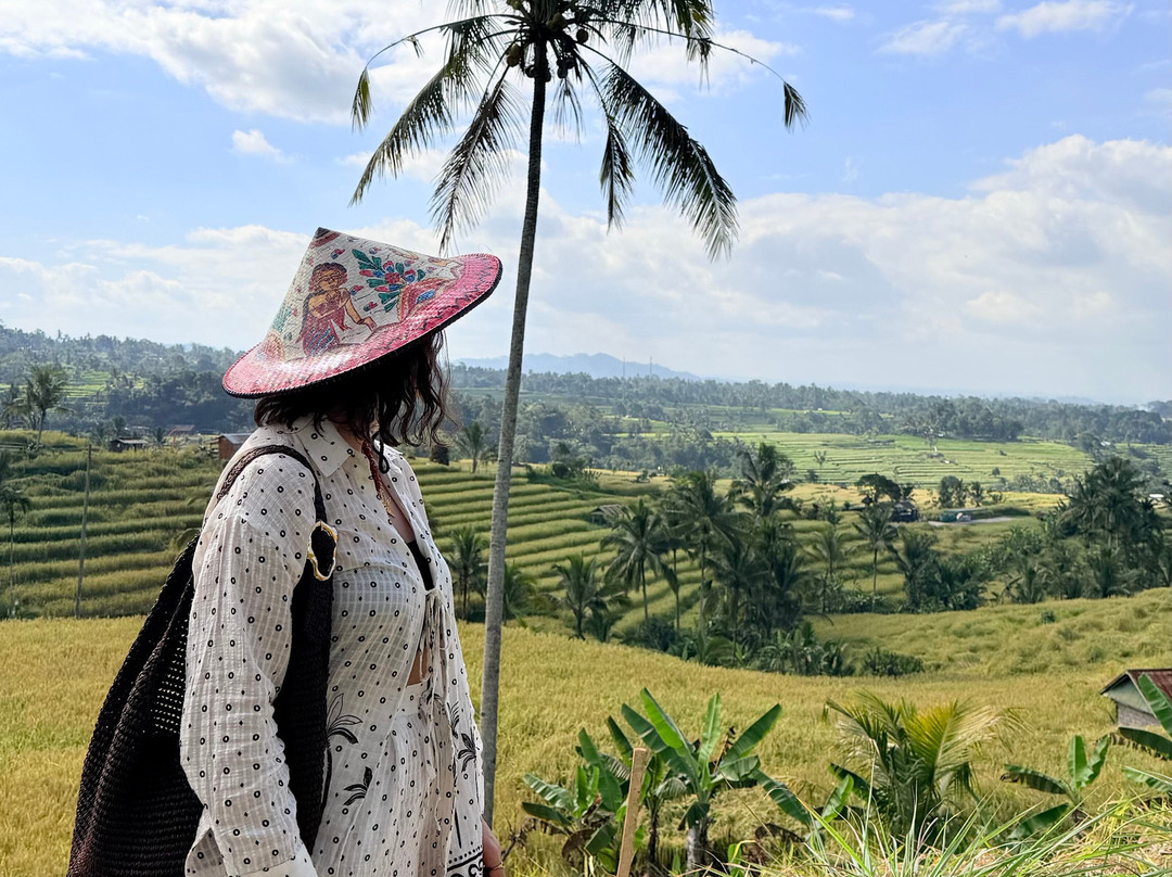 Bali Life Tours-乌布必去景点