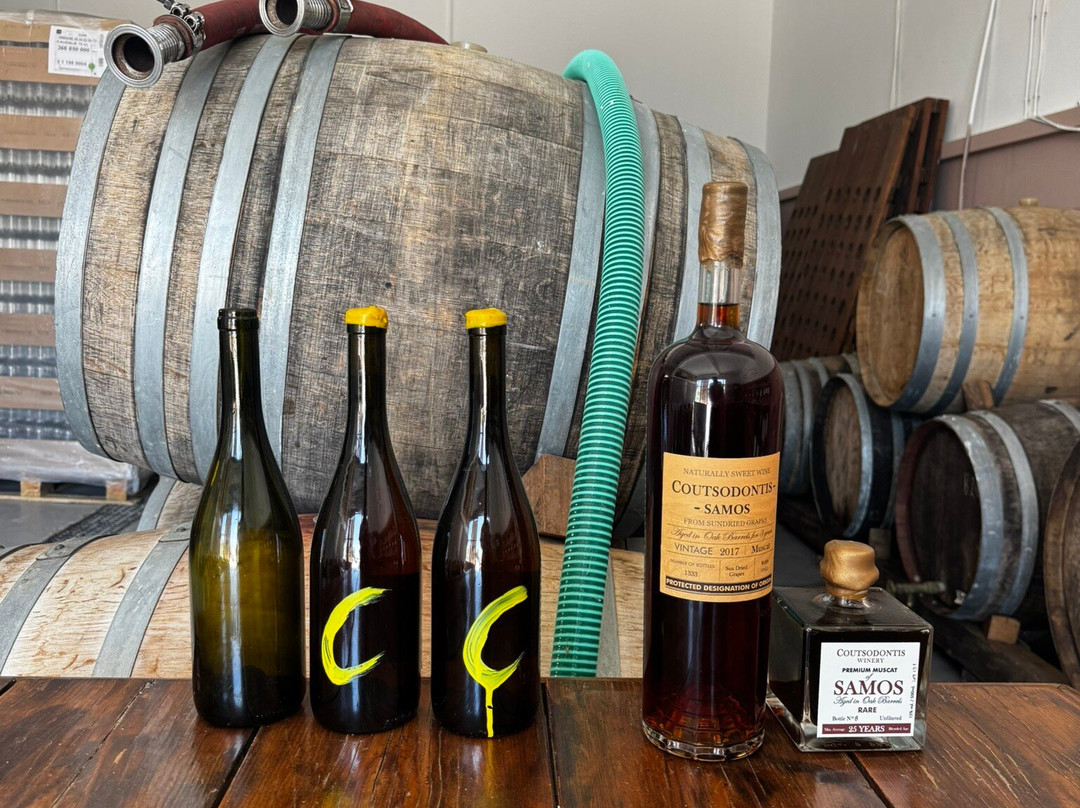Coutsodontis Winery-Marathokampos必去景点