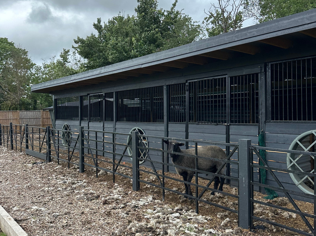 Willow Court Farm & Poultry-温莎必去景点