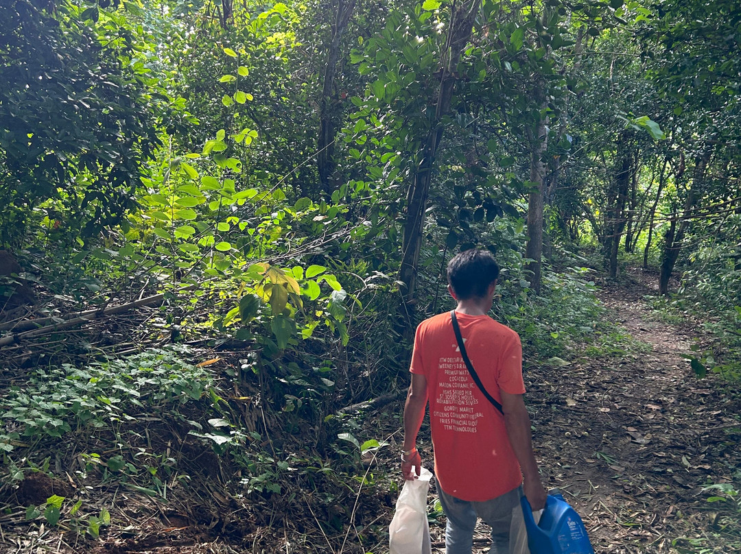 Elephant Sanctuary Care Park-清迈必去景点
