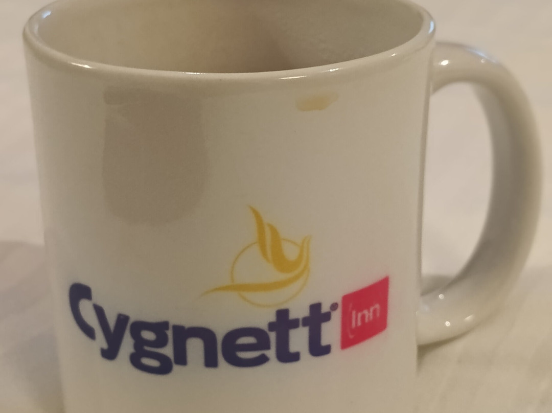 Cygnett殿大旅馆主图