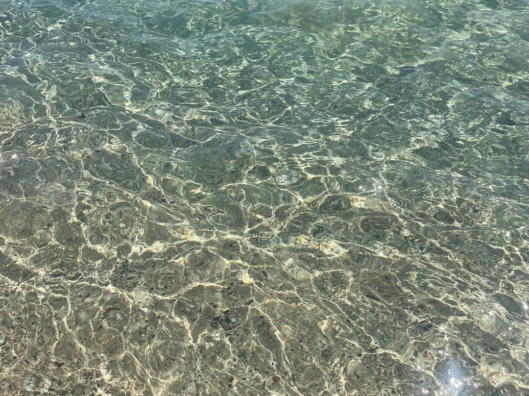 Marina Rey Beach Resort主图