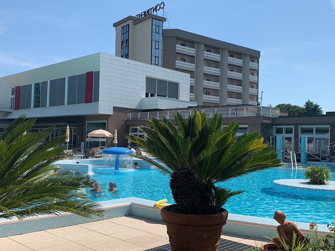 Continental Terme Hotel主图