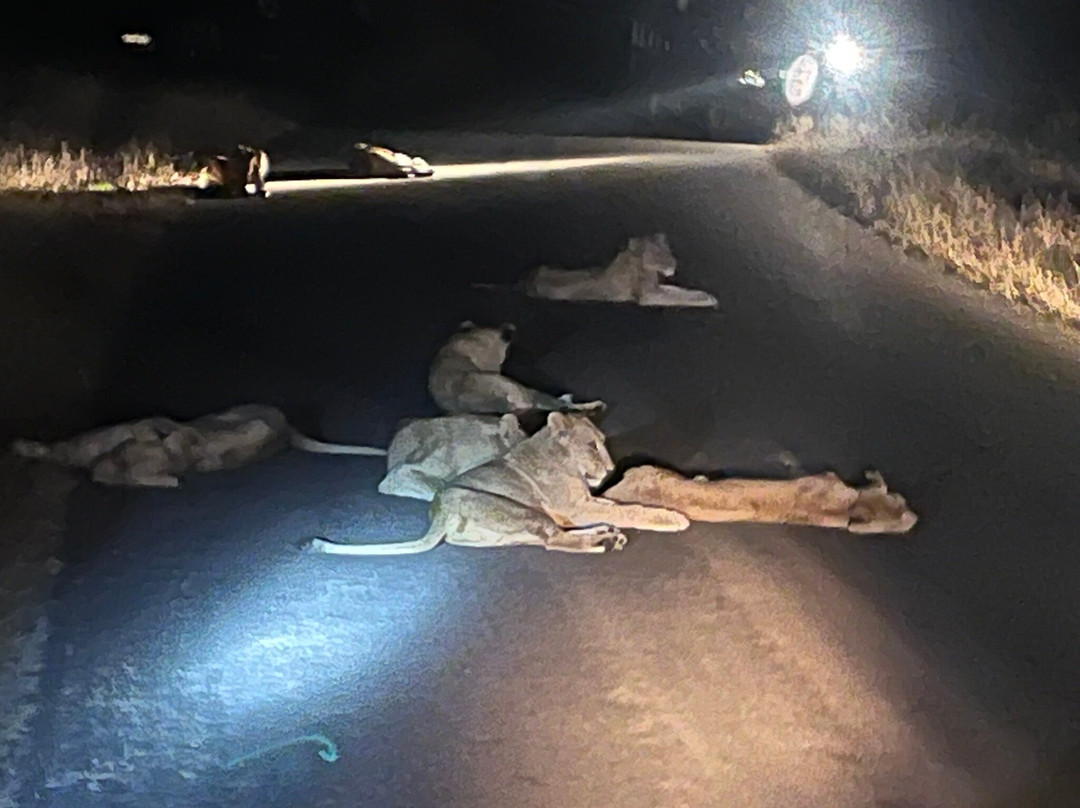 克鲁格大门万豪普罗蒂酒店主图