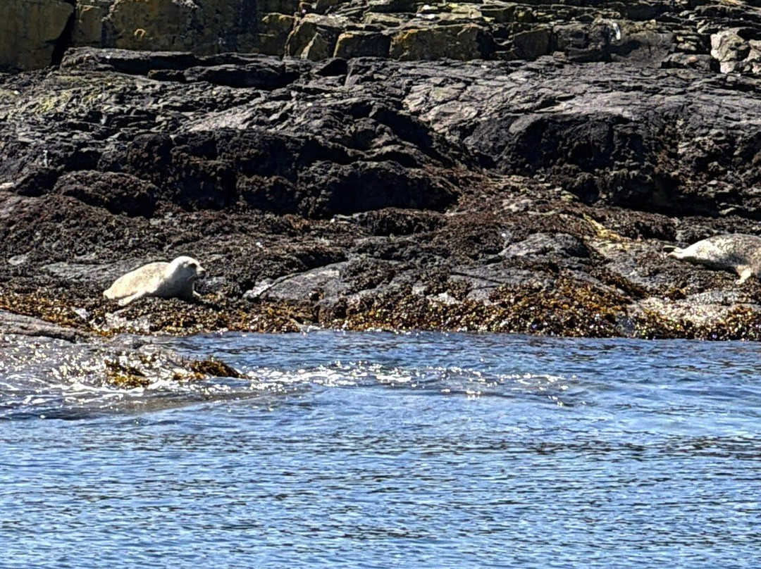 Argyll-Sea Tours-奥本必去景点