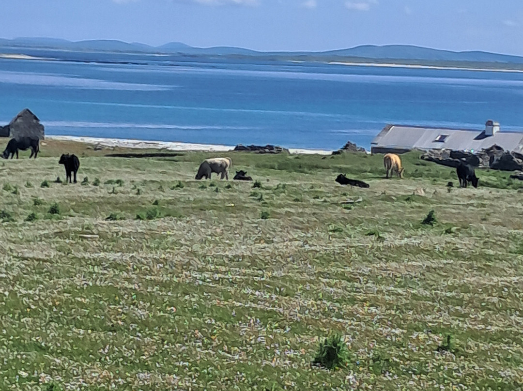 Belmullet Boat Charters - Inishkea Ferry & Sea Safari Tours-Belmullet必去景点