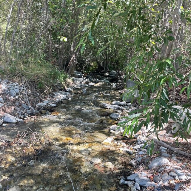 North Etiwanda Preserve-库卡蒙格牧场必去景点