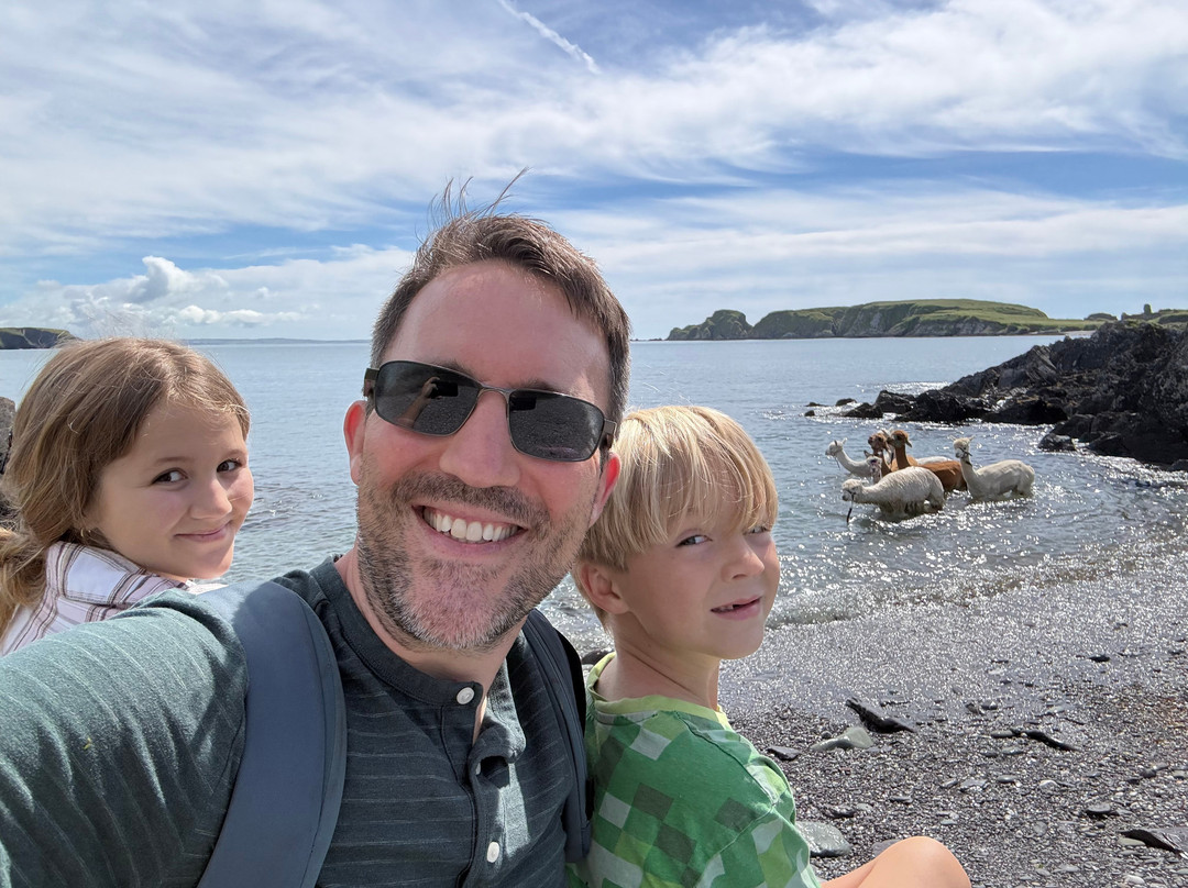 Seaside Alpacas West Cork-Union Hall必去景点