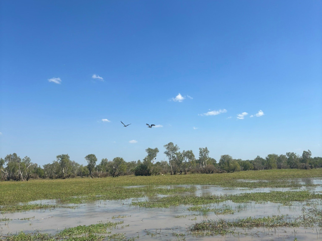 Wildlands Wetlands Safari Cruises-达尔文市必去景点