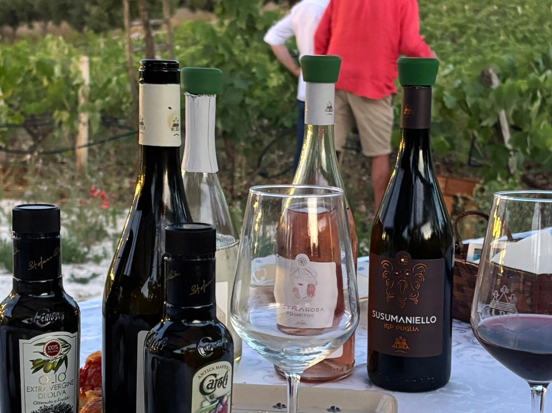 Cantina Albea winery and museum-阿尔贝罗贝洛必去景点