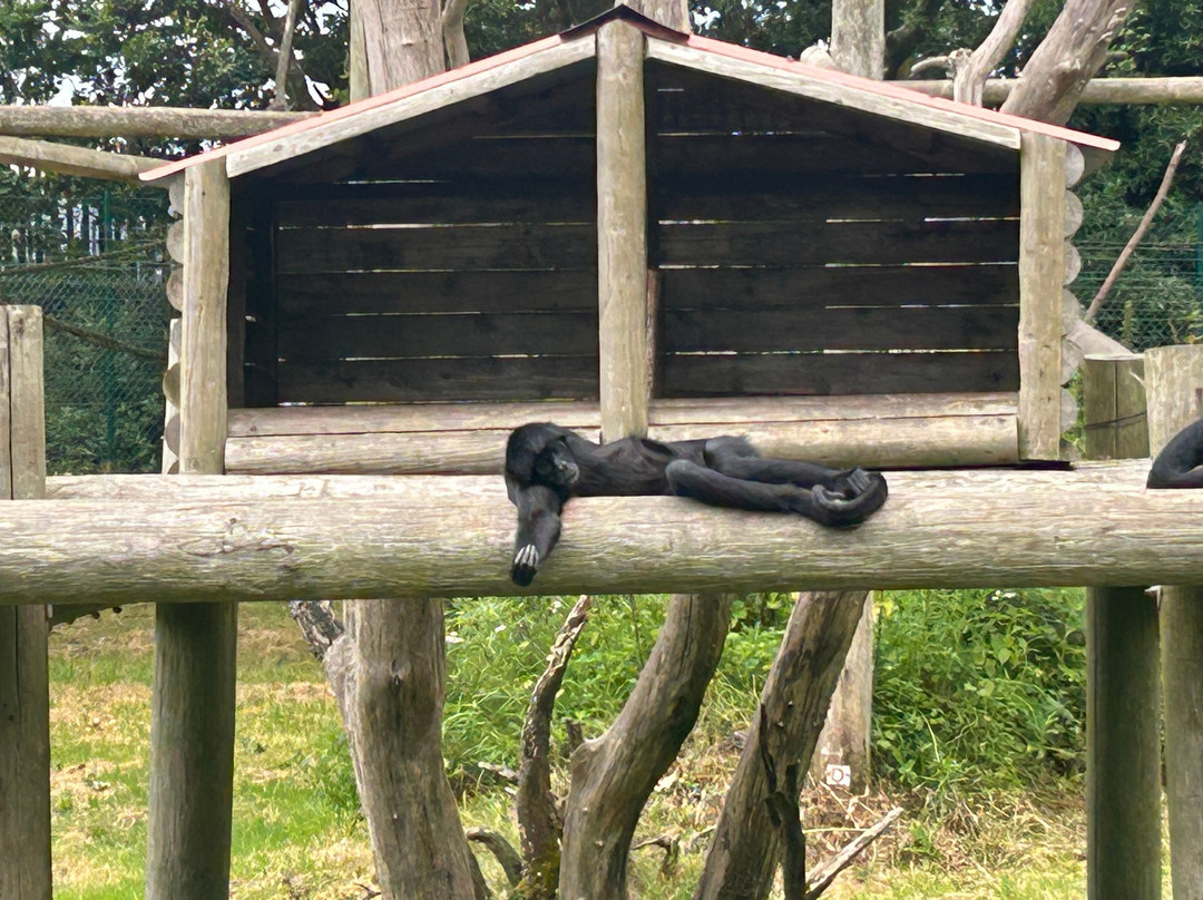 Fota Wildlife Park-Carrigtwohill必去景点