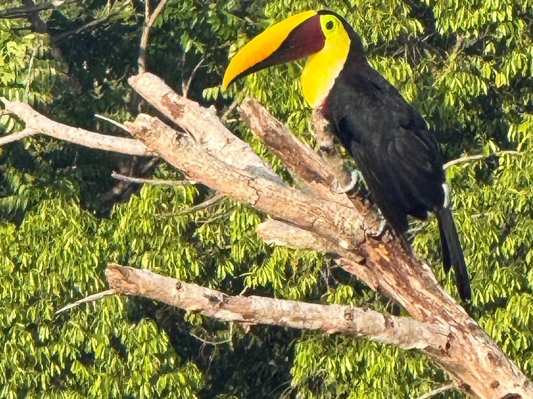 ILT Costa Rica-圣何塞必去景点