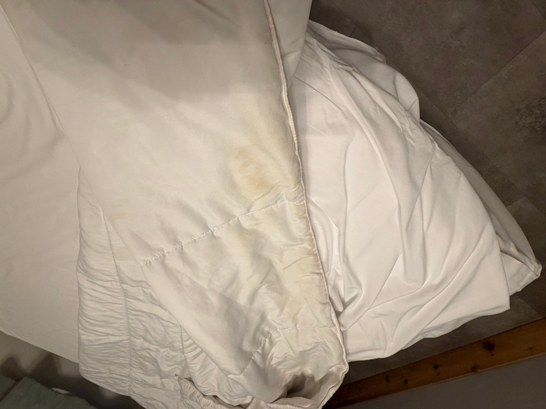芒特沙斯塔小屋主图