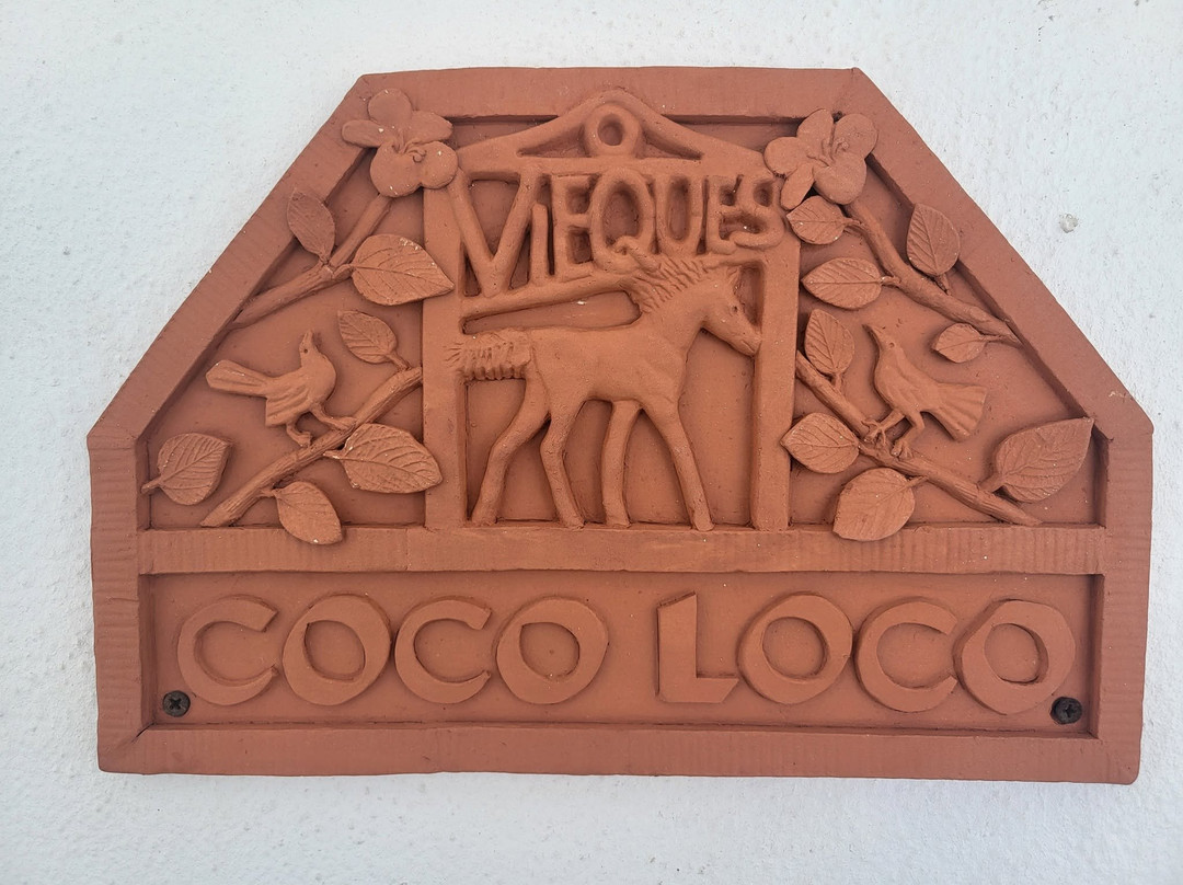 Coco Loco Guesthouse主图