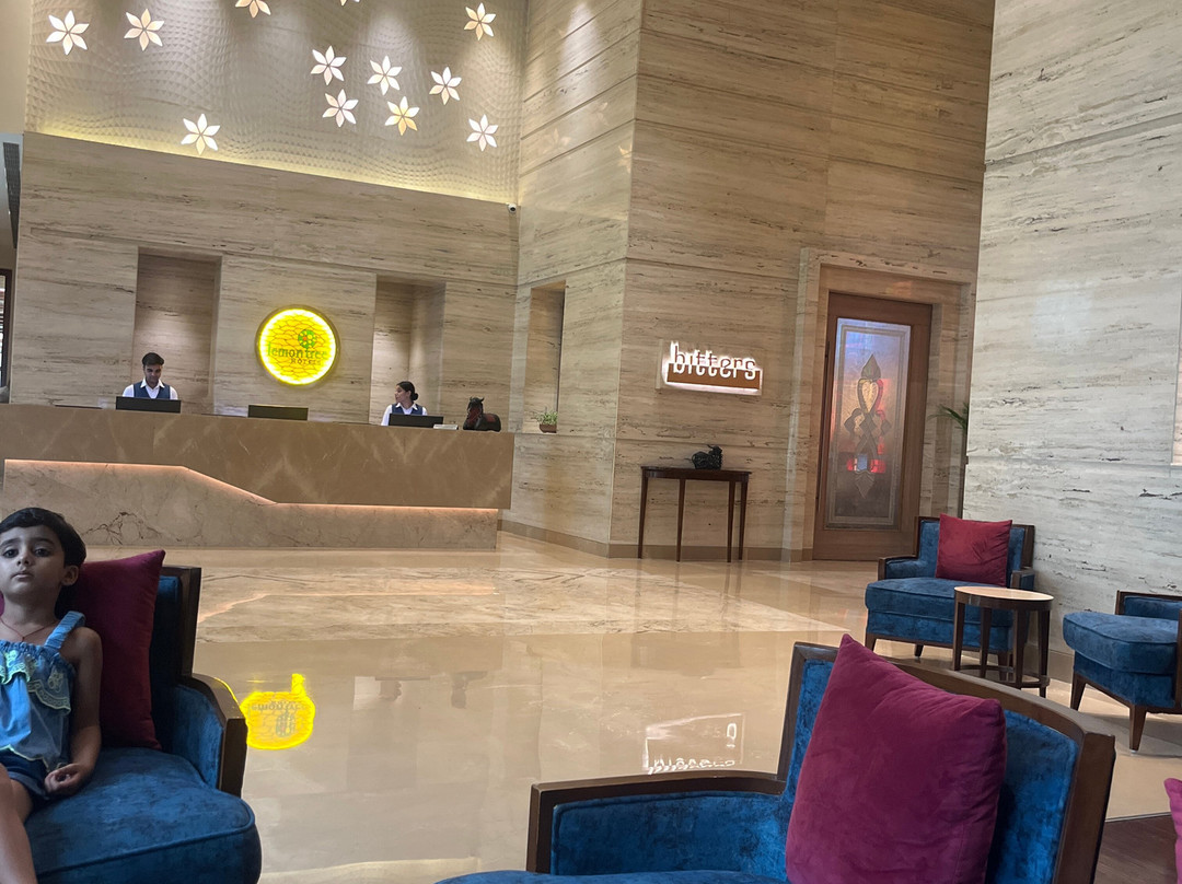 桑达尔柠檬树套房旅馆主图
