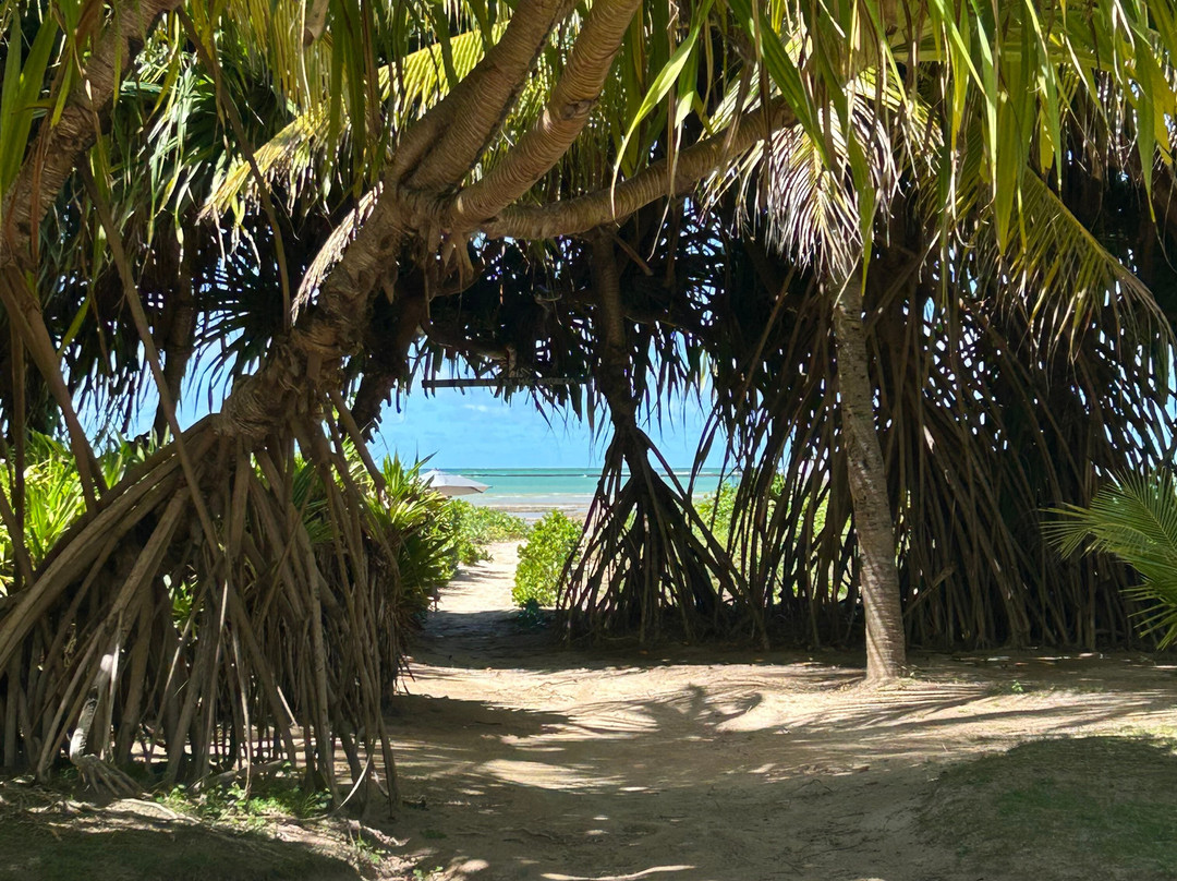 Pousada Origami主图