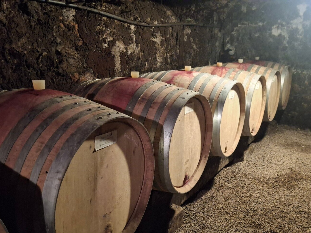 Domaine Rebourgeon-Mure-Pommard必去景点