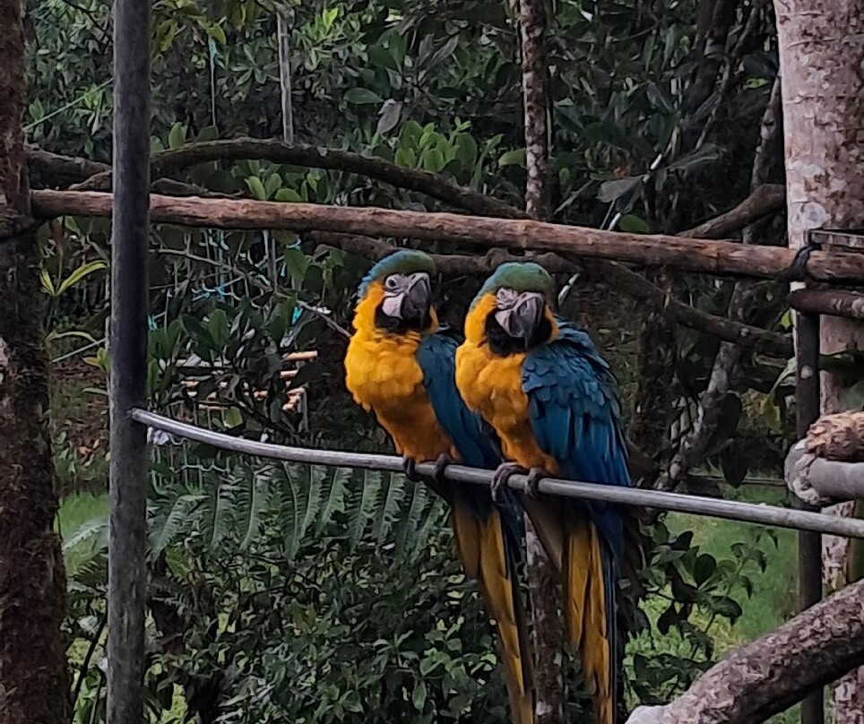 BioParque Yanacocha-Puyo必去景点