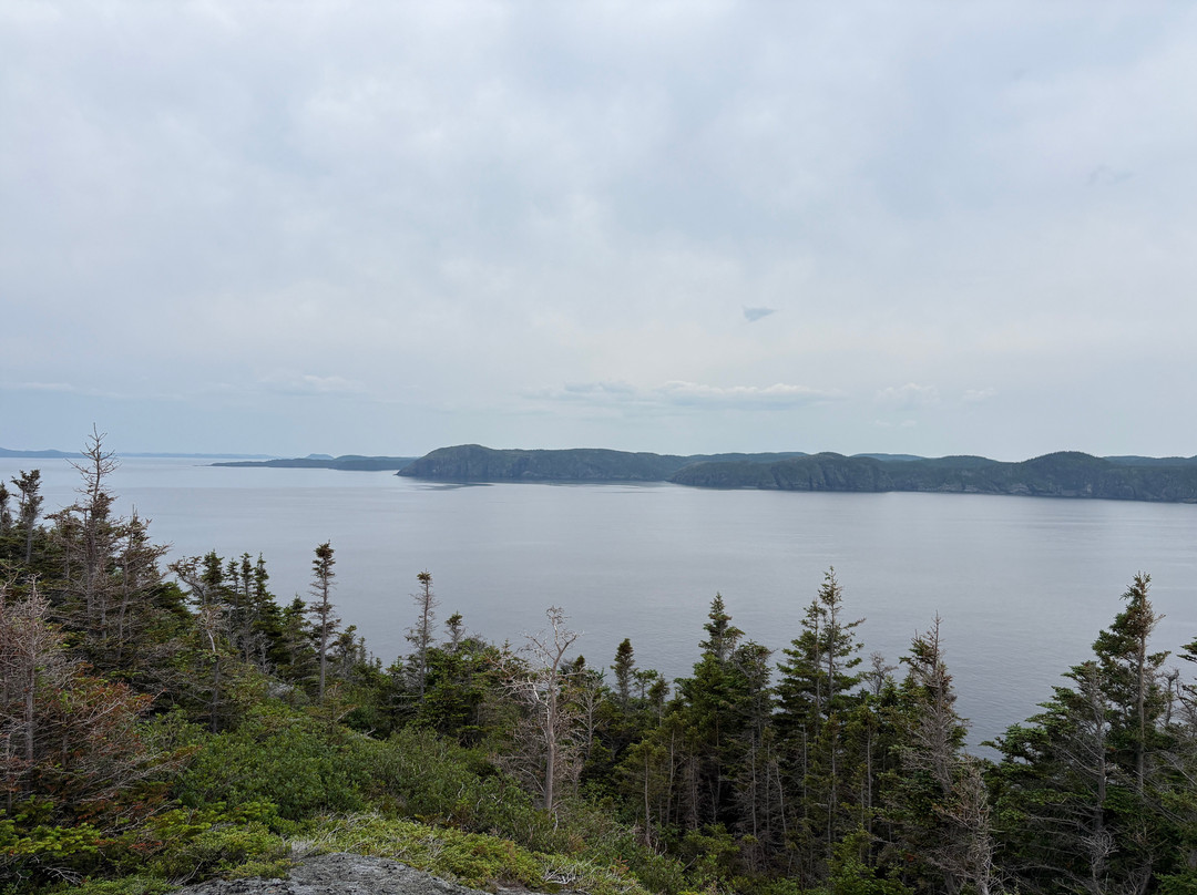 Adventures Newfoundland-Fortune Harbour必去景点