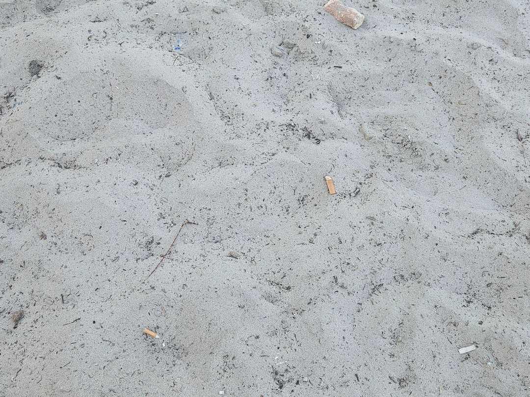 Spiaggia Torre Canne-Torre Canne必去景点
