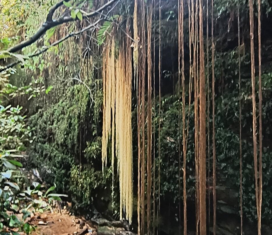 Cânion Sussuapara-Ponte Alta do Tocantins必去景点