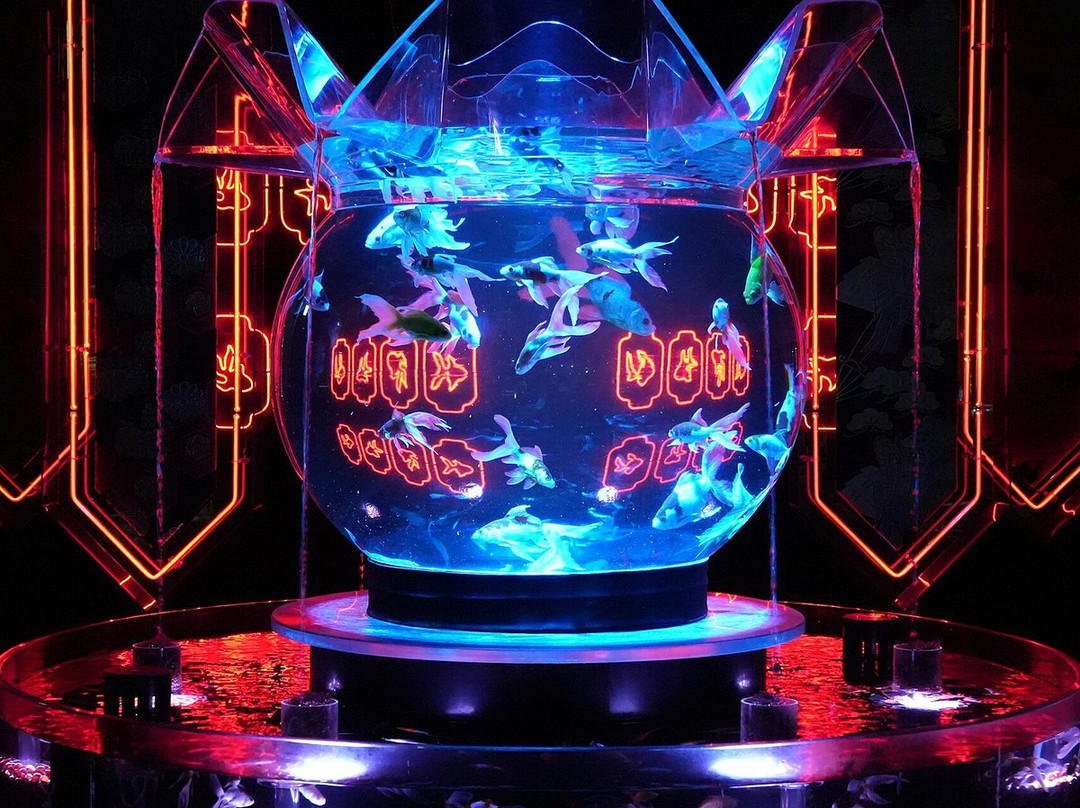 Art Aquarium-Ginza必去景点